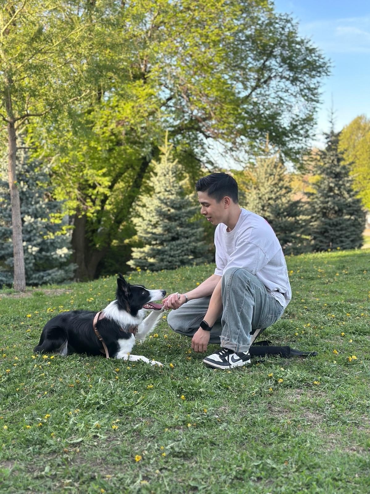 Life with dogs